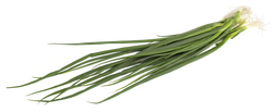 Лук зеленый свежий, весовой, картинка