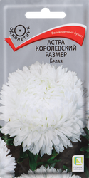 Семена Поиск Астра Белая, 0.1г, вид