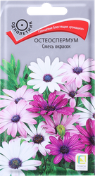 Семена Поиск Остеоспермумсмесь окрасок, 0.1г, фото