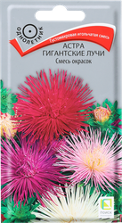 Семена ПОИСК Астра Гигантские лучи, смесь, 0,3г, детальное фото