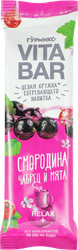 Основа для приготовления согревающего напитка ГУРМИКС Vita bar Смородина, чабрец и мята, 32г, фото