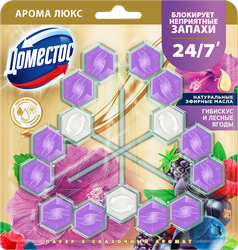Блок для унитаза ДОМЕСТОС Power 5 Trio Сказочный аромат, 150г, фото