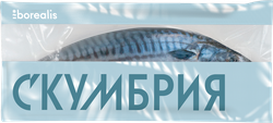 Скумбрия Атлантическая свежемороженая BOREALIS неразделанная, 800г, крупный план