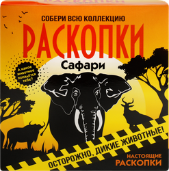 Набор игровой для проведения раскопок, средний, в ассортименте Арт. DIG-6/39, крупный план