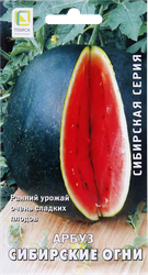 Семена ПОИСК Арбуз Сибирские огни, 15шт, вид