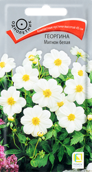 Семена ПОИСК Георгина Мигнон, белая, 0,2г, картинка
