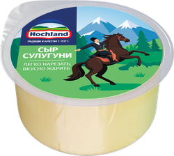 Сыр HOCHLAND Сулугуни 45%, без змж, 300г, крупный план
