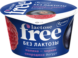 Йогурт VIOLA FREE безлактозный с наполнителем Малина, черная смородина 2,7%, без змж, 180г, вид