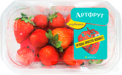 Клубника АРТФРУТ, 250г, вид