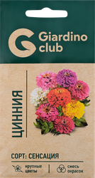 Семена GIARDINO CLUB Цинния Сенсация, смесь, 0,3г, крупный план