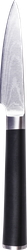 Нож для чистки овощей PLATINUM CHOICE 9см, нержавеющая сталь, ABS-пластик, Арт. EKA-PN3, картинка
