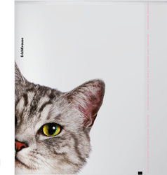Набор обложек для тетрадей и дневников ERICHKRAUSE Hiding cats, 21,2х34,7см, в ассортименте, Арт. 61128, картинка
