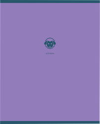 Тетрадь предметная BG Monocolor. Element – Алгебра, 48 листов, Арт. 345303, крупный план
