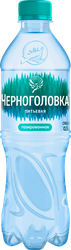 Вода питьевая ЧЕРНОГОЛОВСКАЯ газированная, 0.5л, вид