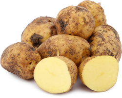Картофель белый, Тульская область, весовой, изображение