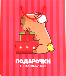 Пакет Капибара 25х22х12см, Арт. 3333232, картинка