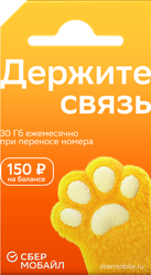 Сим-карта СБЕРМОБАЙЛ Баланс 150 рублей, вид
