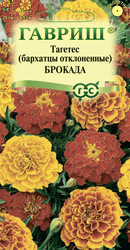 Изображение товара Семена ГАВРИШ Бархатцы отклоненные (Тагетес) Брокада, смесь, Арт. 1026999420, 0,3г