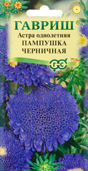 Семена ГАВРИШ Астра помпонная однолетняя Пампушка черничная, Арт. 10006543, 0,3г, картинка