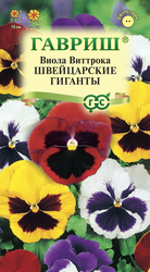 Семена ГАВРИШ Виола Виттрока (Анютины глазки) Швейцарские гиганты, Арт. 1071857593, 0,05г, крупный план
