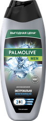 Гель для душа PALMOLIVE Men 3в1 Арктический ветер, для тела, волос и лица, 450мл, вид