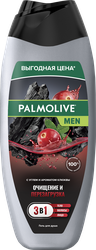 Гель для душа PALMOLIVE Men 3в1 Очищение и перезагрузка, для тела, волос и лица, 450мл, фотография