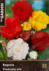 Луковицы MY GARDEN Бегония фимбриата, микс, 2шт, вид