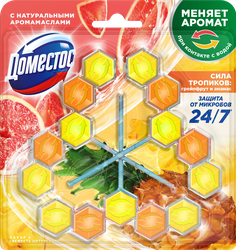 Блок для унитаза ДОМЕСТОС Power 5 трио Свежесть цитруса, 150г, фото