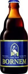 Пиво темное VAN STEENBERG Bornem double фильтрованное непастеризованное 7,2%, 0,33л, вид