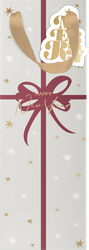 Пакет подарочный CITY HOME TRADE X-Mas Academy под бутылку 38х12х10см, фото