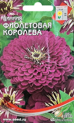 Семена ДОМ СЕМЯН Циния Фиолетовая королева, 2г, вид