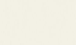 ОБОИ виниловые ERISMANN Basic Etel  60980-03 1,06х10,05м, вид