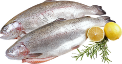 Форель Радужная ЛЕНТА FRESH потрошеная с головой 2–4кг, весовая, детальное фото