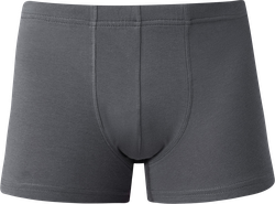 Трусы мужские ALFA р. M, L, XL, XXL, серые, Арт. 6300С, картинка