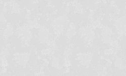 Обои SILK er 60731-06 1,06х10,05, крупный план