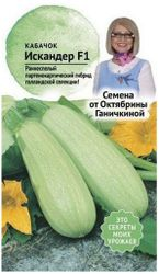 Семена Кабачка Октябрина Ганичкина Искандер F1 5 шт, детальное фото