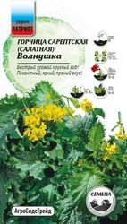 Семена Горчица салатная Волнушка  ПАТРИОТ, вид