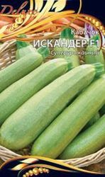 Семена Кабачка Искандер 5 шт, фотография