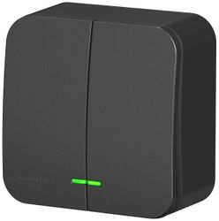 Выключатель 2-клавишный Schneider Electric BLANCA BLNVA105116 антрацит, детальное фото