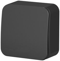 Выключатель 1-клавишный Schneider Electric BLANCA антрацит, вид