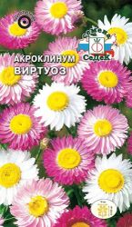 Семена акроклинума СеДеК Виртуоз 1 г, детальное фото
