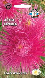 Семена Астры СеДеК Ирида розовая 0,2 г, крупный план