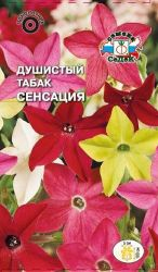Семена табака душистого СеДеК Сенсация 0,1 г, картинка