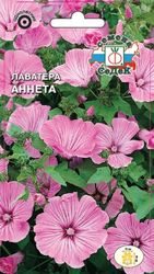 Семена Лаватеры СеДеК Аннета трехмесячная 0,5 г, вид