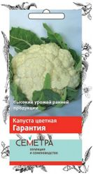 Семена Капусты ПОИСК СЕМЕТРА Гарантия 0,5 г, детальное фото