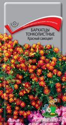 Семена Бархатца тонколистного ПОИСК Красный самоцвет 0,1 г, фото