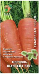 Семена Моркови Шантенэ 2461 2 г, крупный план