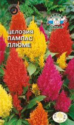 Семена Целозии СеДек Пампас Плюме 0,2 г, фотография