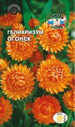 Семена Бессмертника СеДек Огонек 0,25 г, изображение