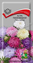 Семена Астры пионовидной ПОИСК Смесь окрасок 0,3 г, изображение